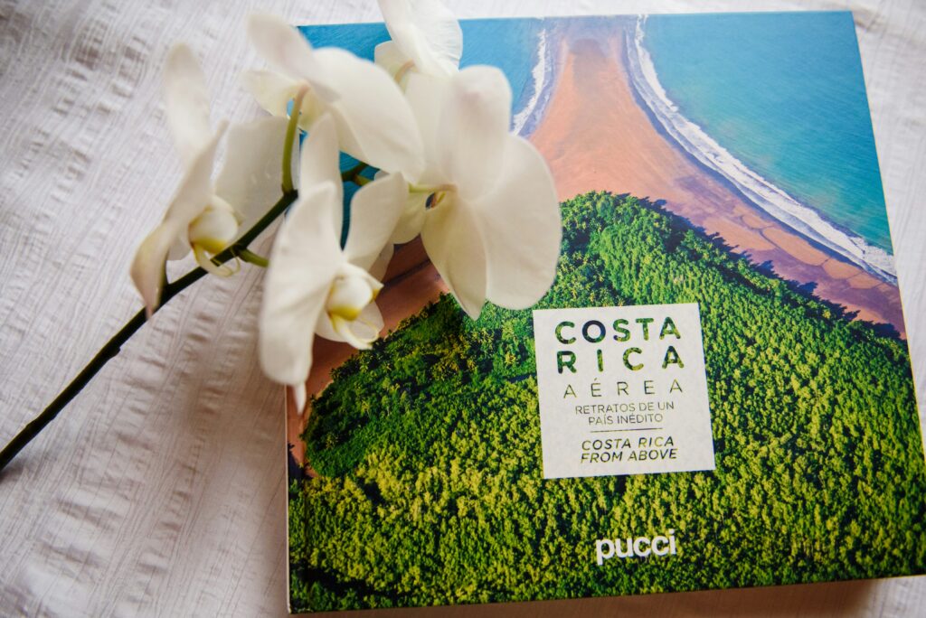 Costa Rica album cover with flower